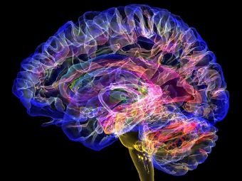 操人视频下载免费观看大脑植入物有助于严重头部损伤恢复